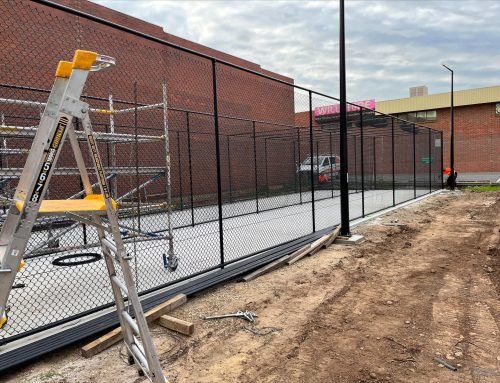 Cricket Nets